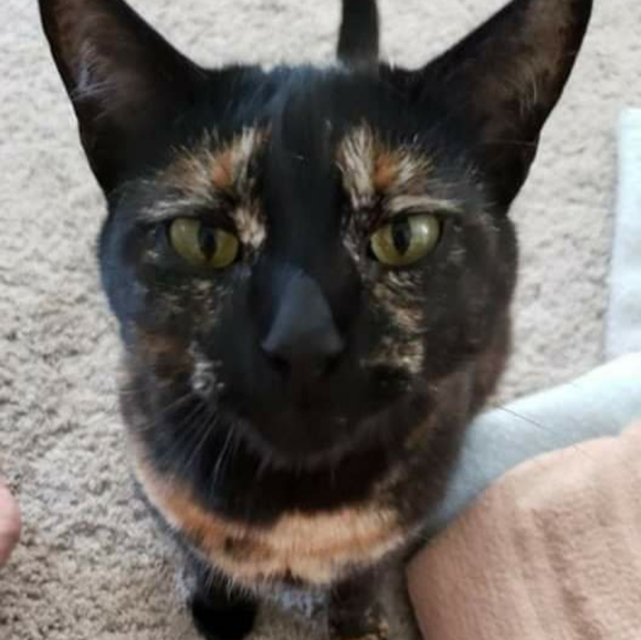 New closet for glassy rustic decor - Picture 4 of 6